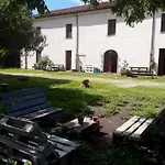 Minerva